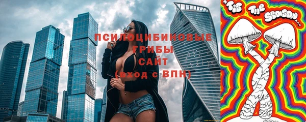 стаф Магас