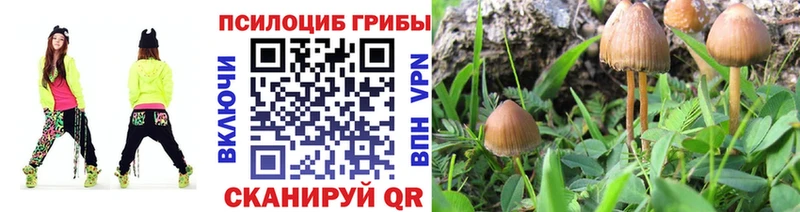 Галлюциногенные грибы Magic Shrooms  Купить где  Кулебаки 